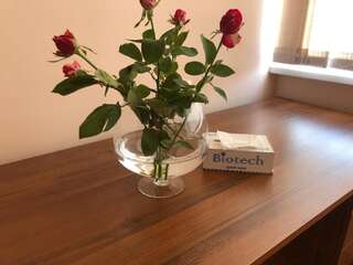Отель Biotech Guest Room Ереван Бюджетный двухместный номер с 2 отдельными кроватями-15